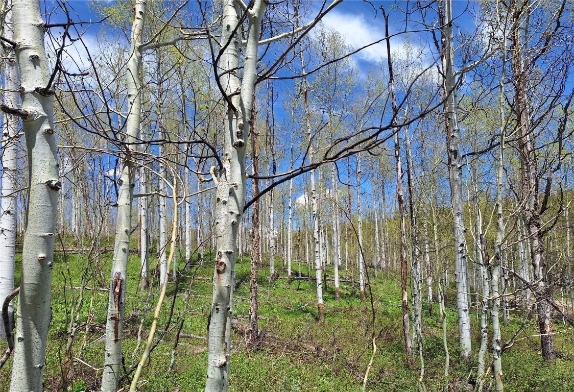 27115 St Louis PLACE