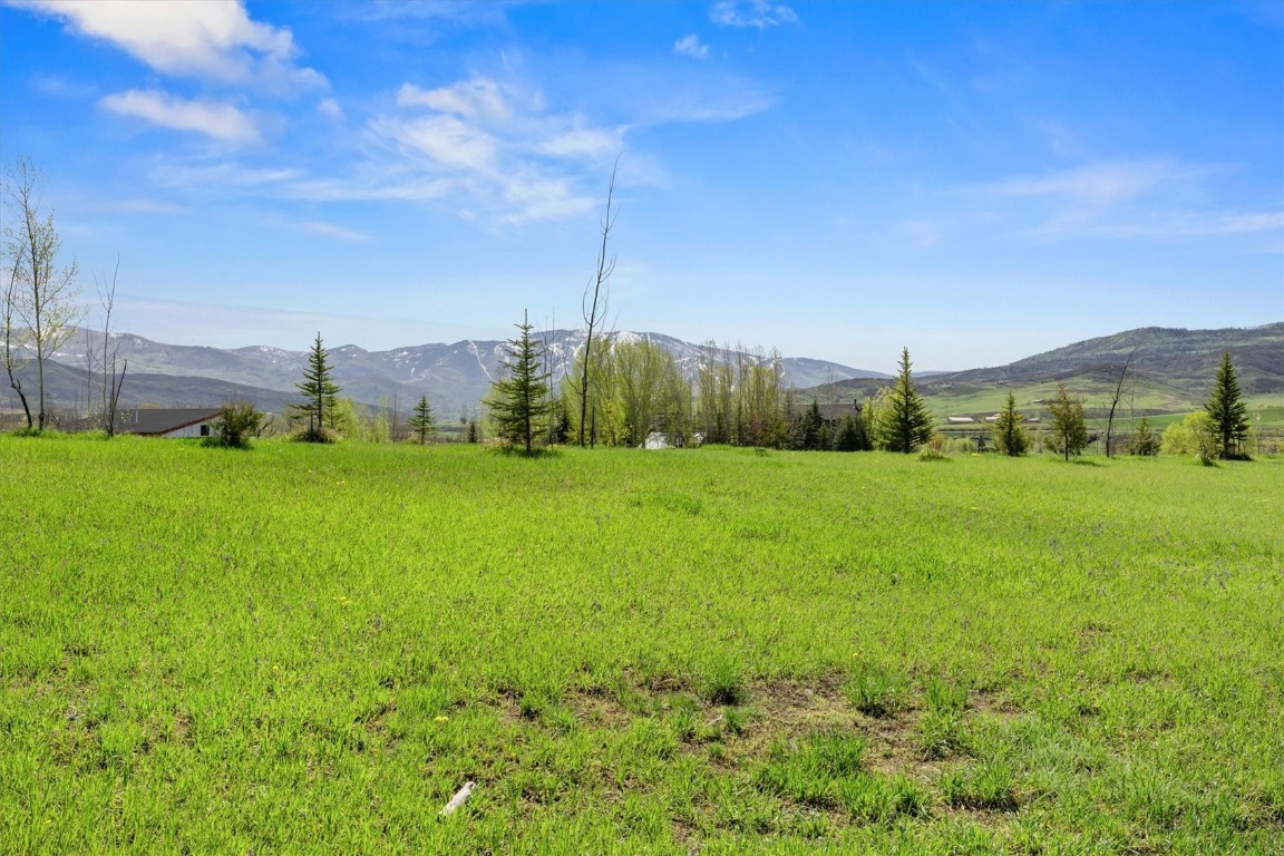 27418 Brandon CIRCLE