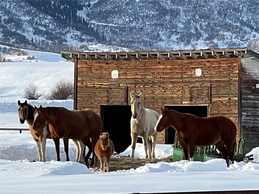 32505 County Road 20