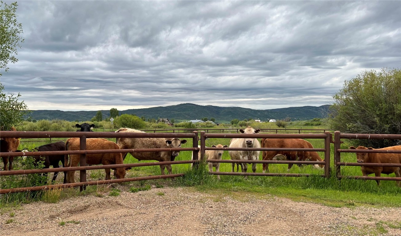 32505 County Road 20