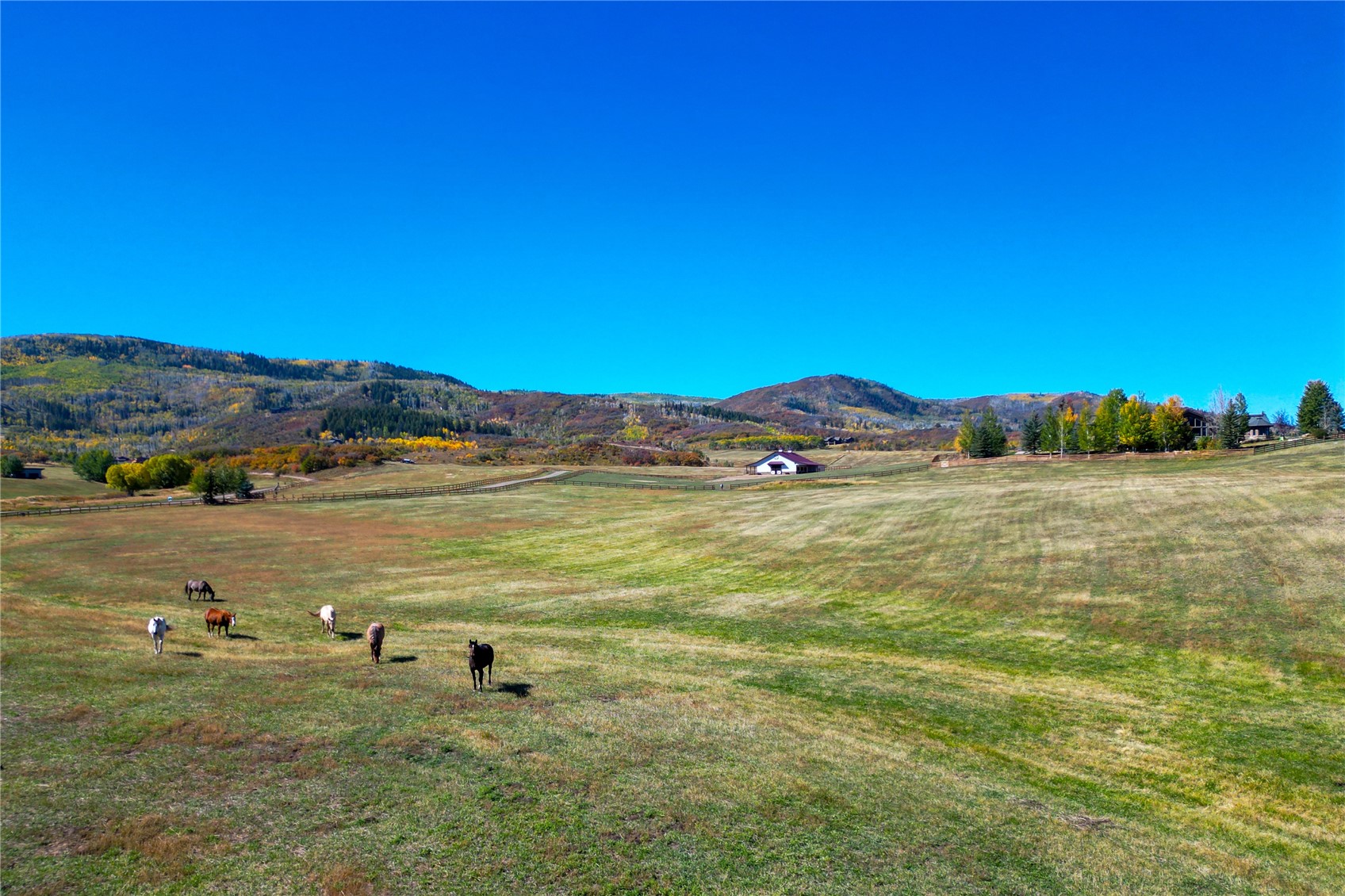 28505 Thorpe Mountain DRIVE