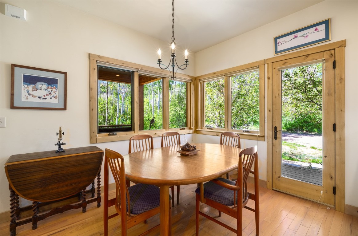 31020 Fallen Falcon TRAIL