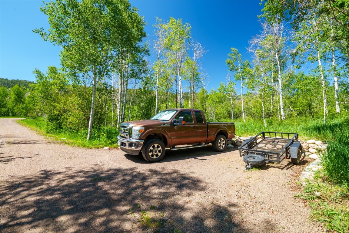 31020 Fallen Falcon TRAIL