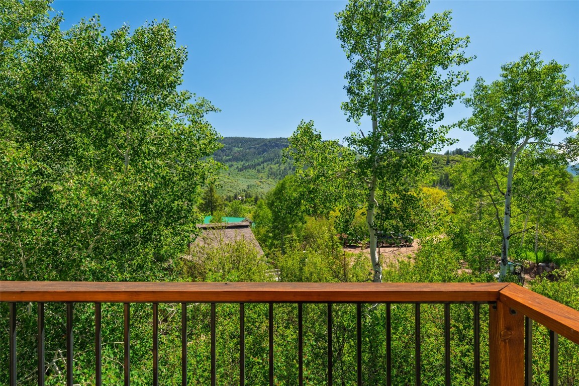 31020 Fallen Falcon TRAIL