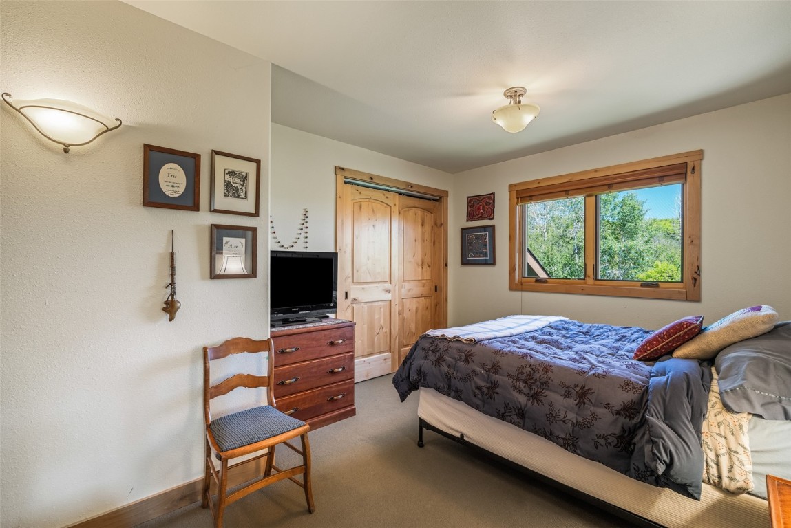 31020 Fallen Falcon TRAIL