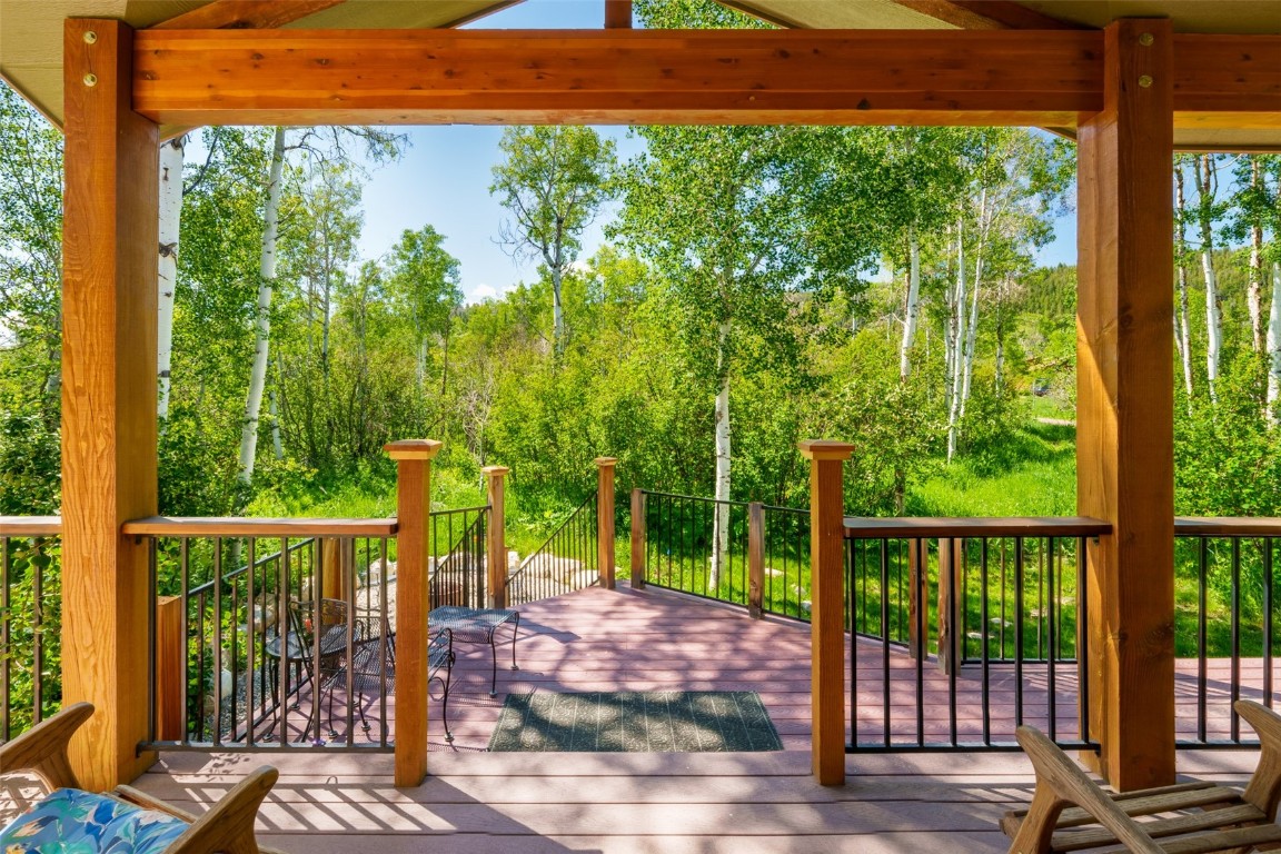 31020 Fallen Falcon TRAIL