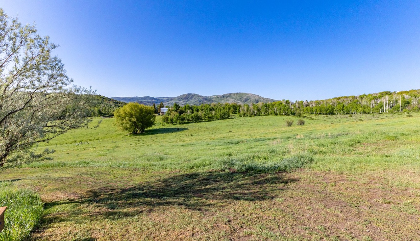 30955 Whitecotton COURT