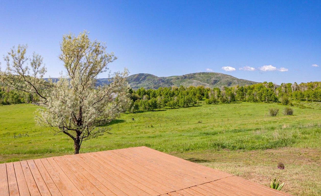 30955 Whitecotton COURT