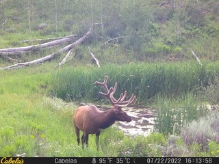 34240 S Long Ridge DRIVE