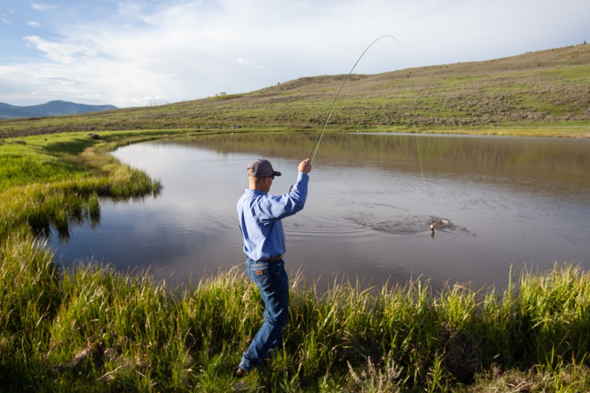 34240 S Long Ridge DRIVE