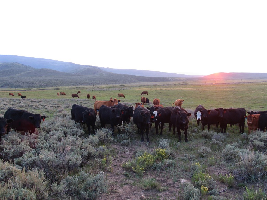 34240 S Long Ridge DRIVE