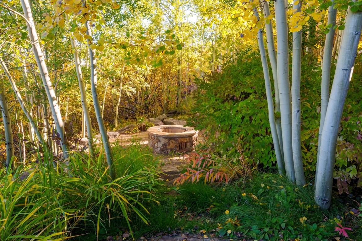 34240 S Long Ridge DRIVE