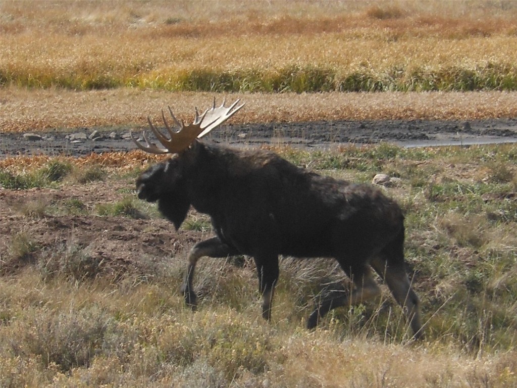 34240 S Long Ridge DRIVE