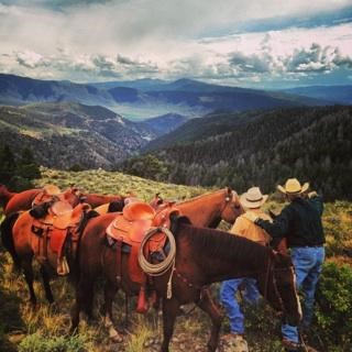 34240 S Long Ridge DRIVE