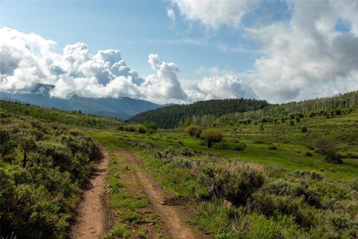 8034 State Highway 131