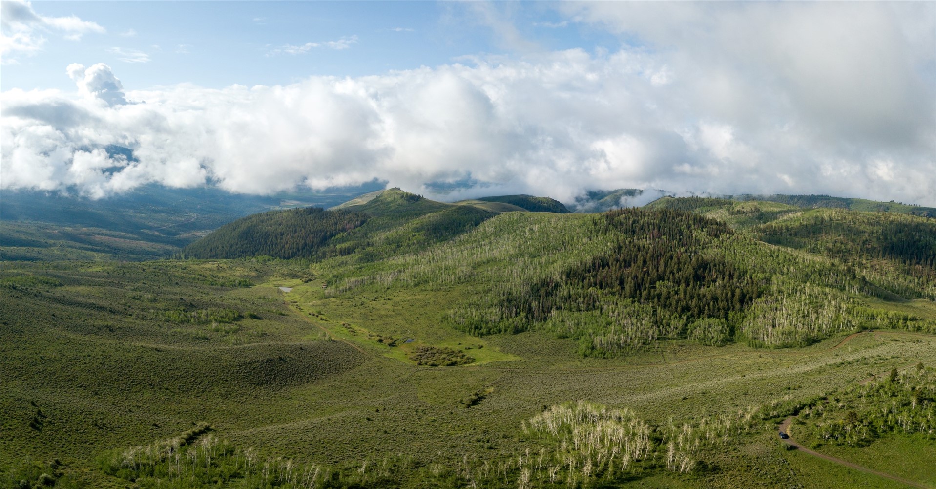 8034 State Highway 131