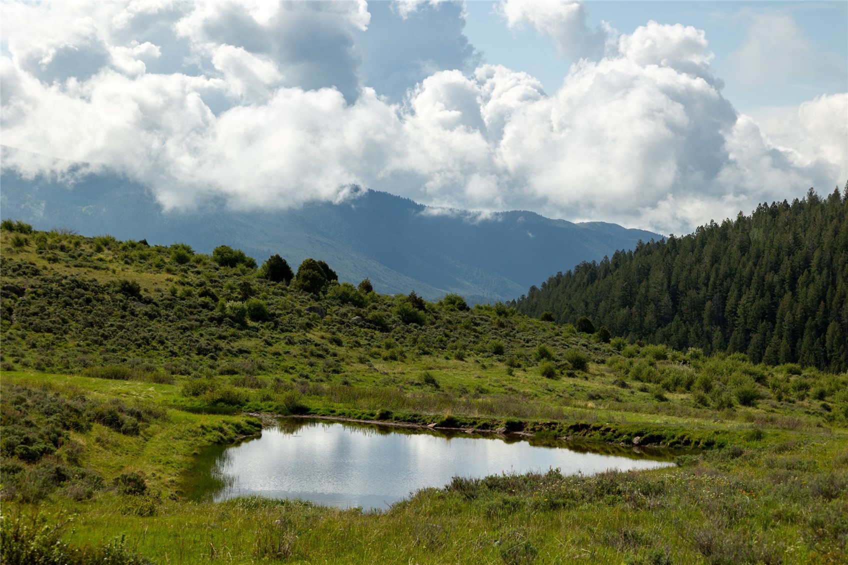 8034 State Highway 131