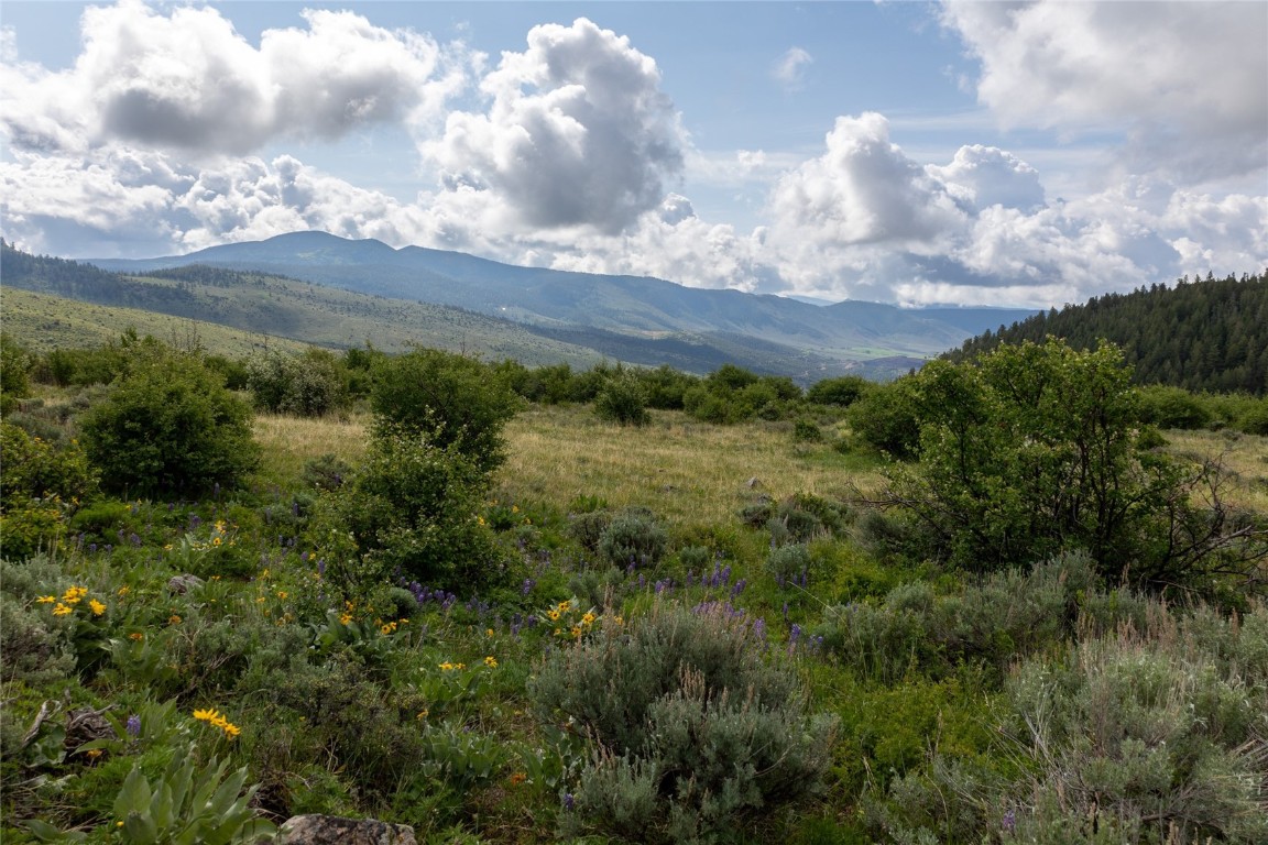 8034 State Highway 131