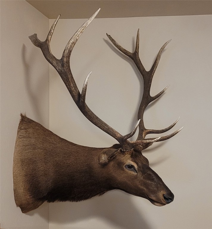 8034 State Highway 131