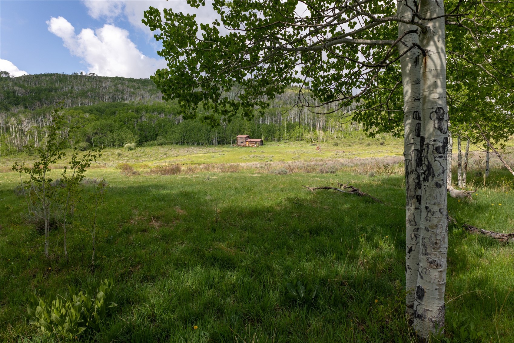 8034 State Highway 131