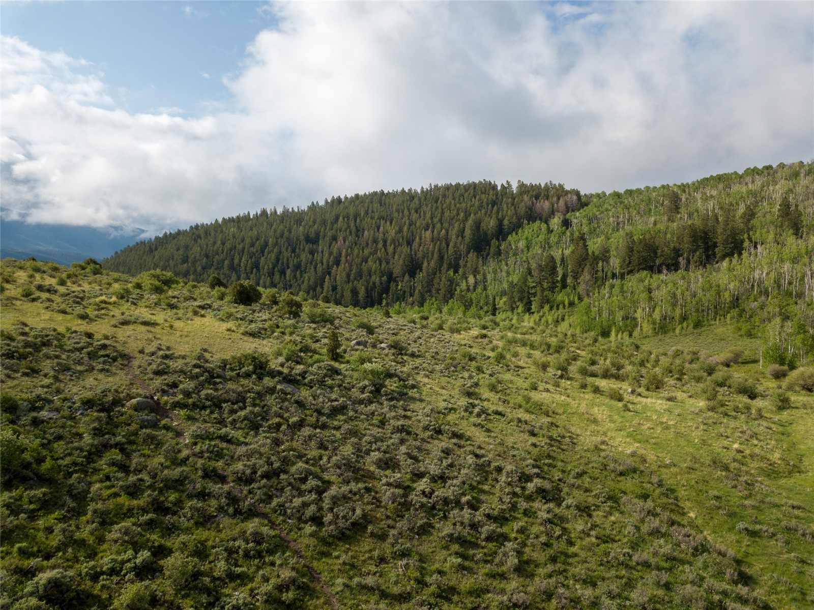 8034 State Highway 131