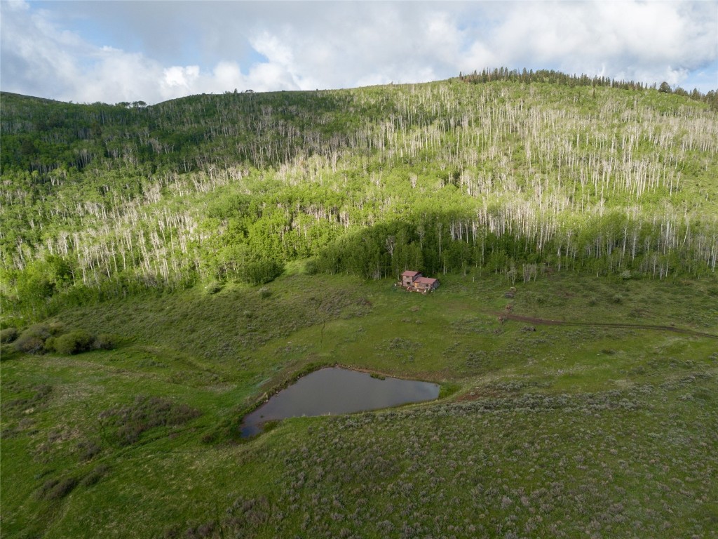 8034 State Highway 131