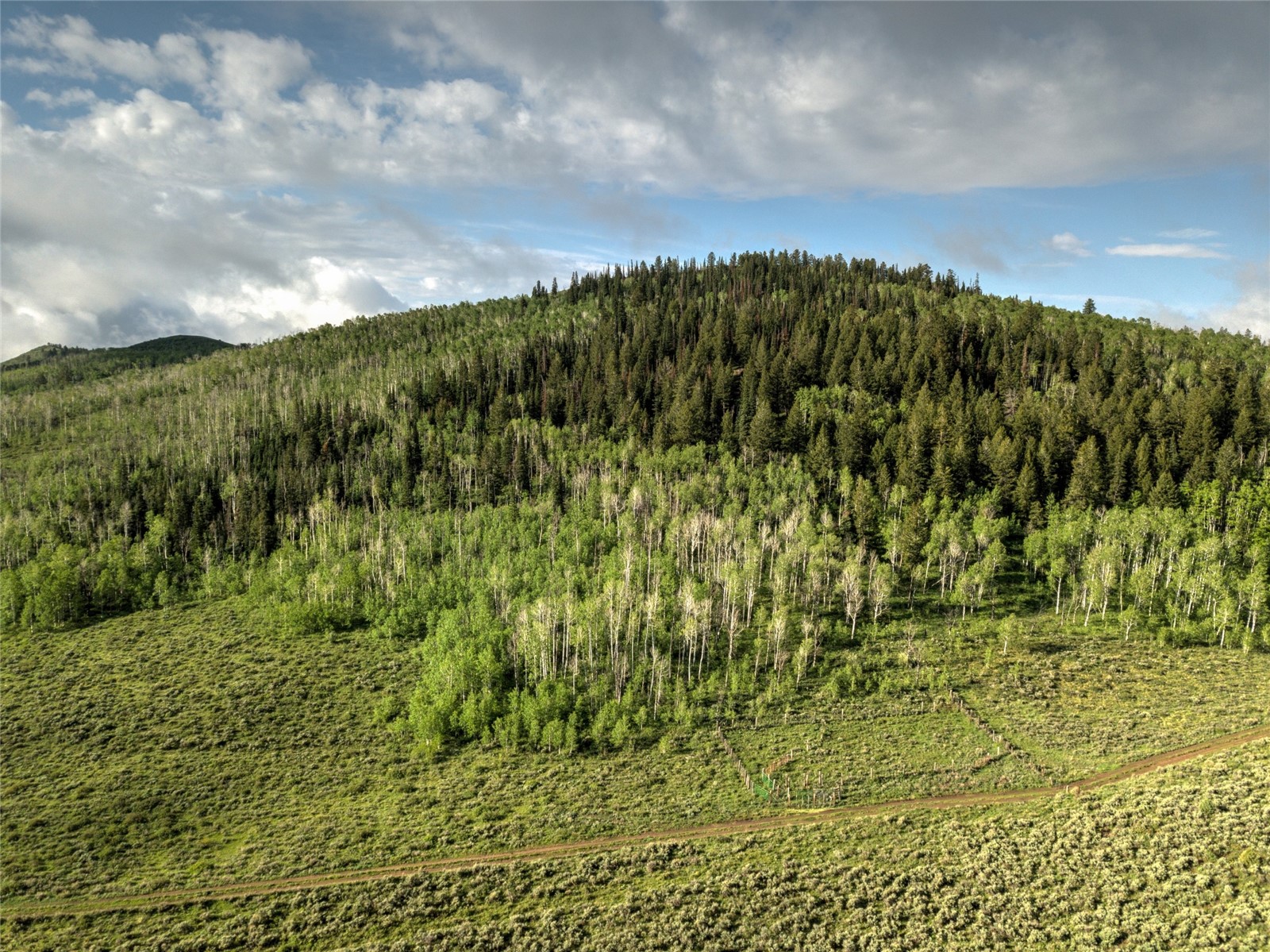 8034 State Highway 131