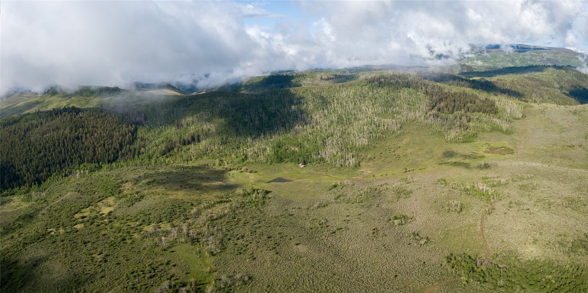 8034 State Highway 131