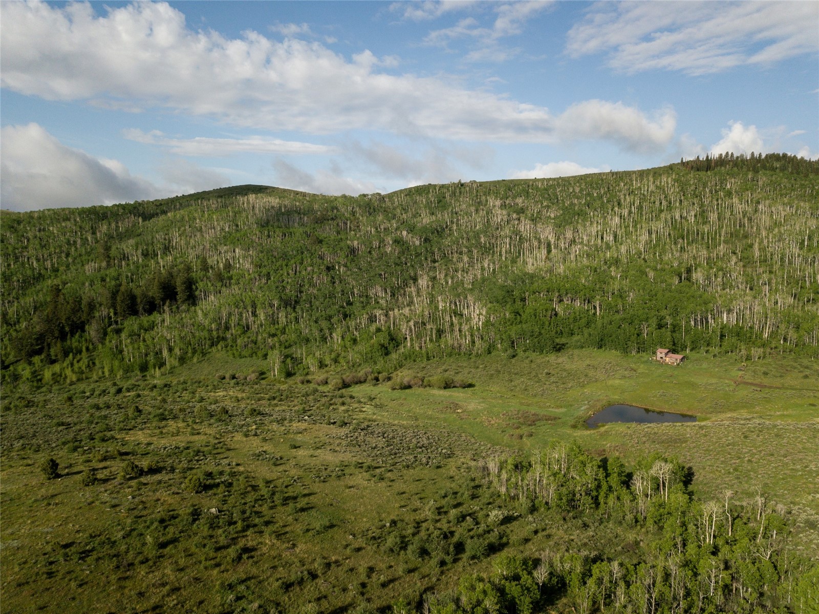 8034 State Highway 131