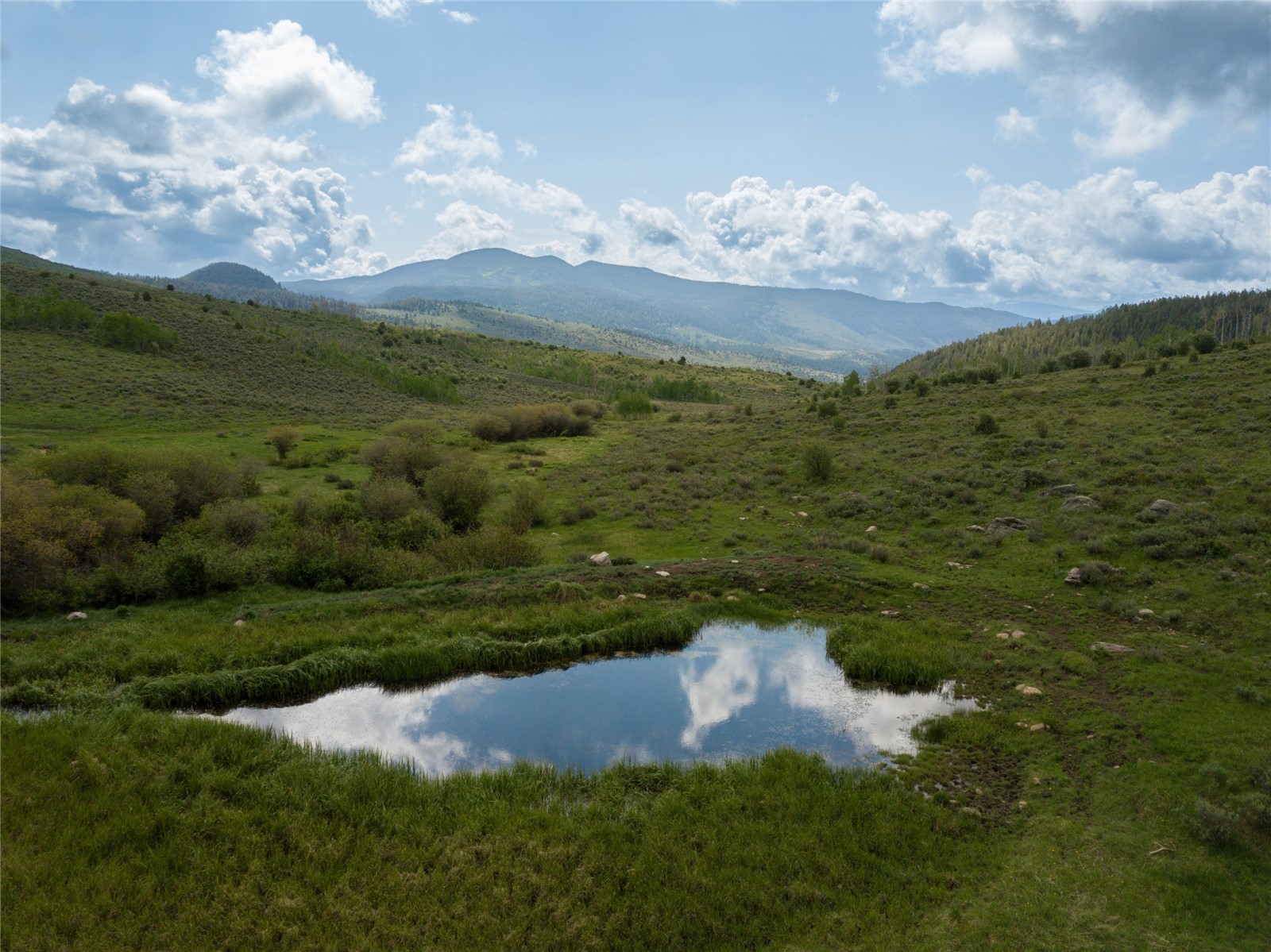 8034 State Highway 131