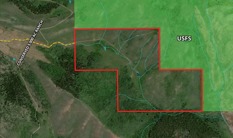 8034 State Highway 131