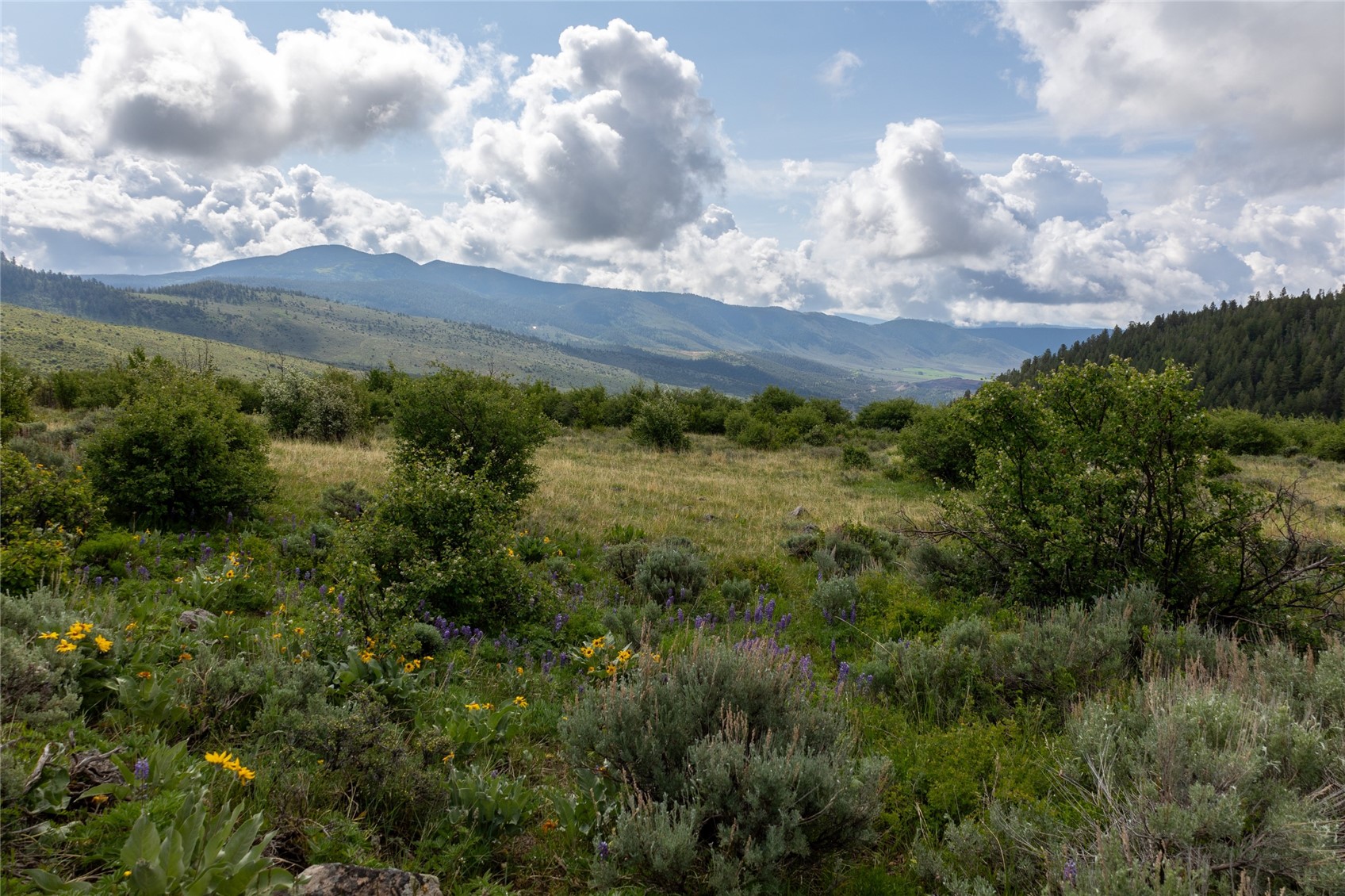 8034 State Highway 131