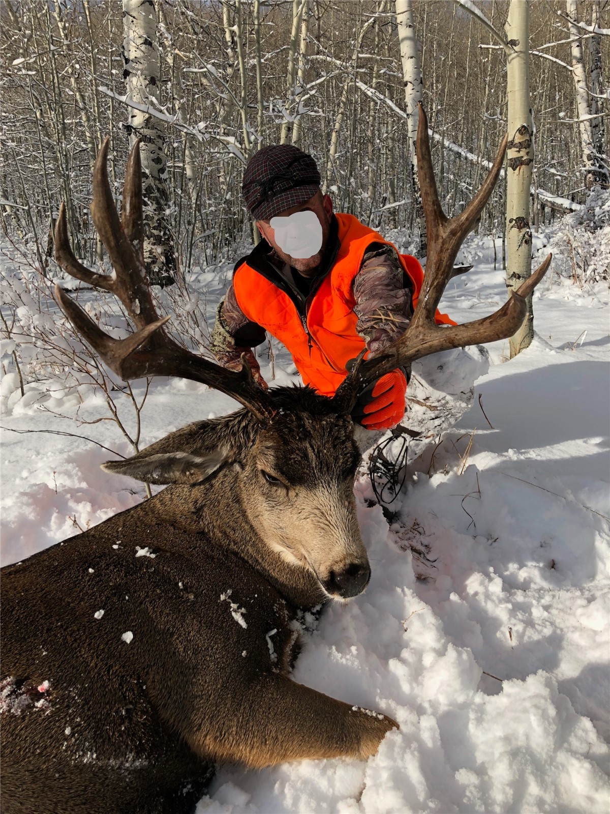 8034 State Highway 131