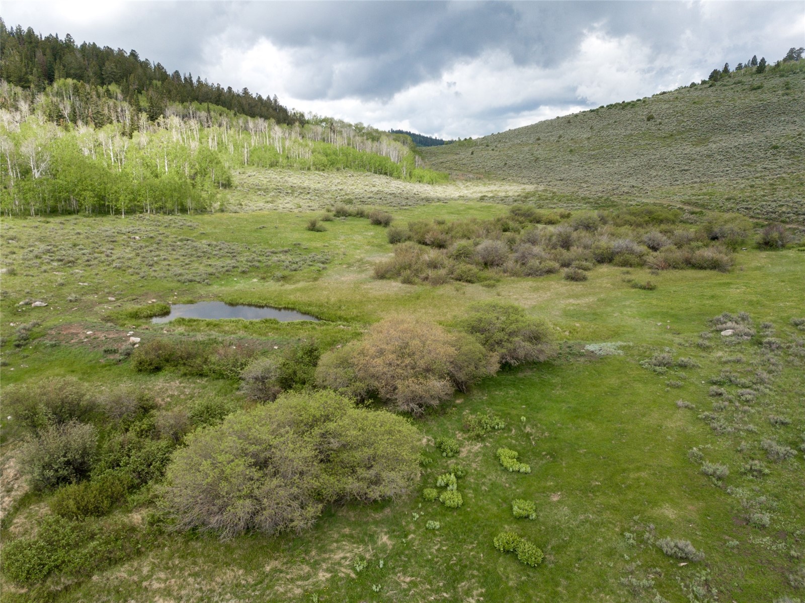 8034 State Highway 131