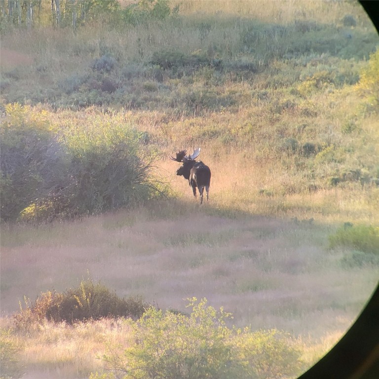 8034 State Highway 131