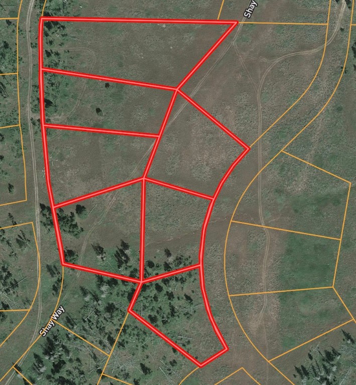 194 Halter TRAIL
