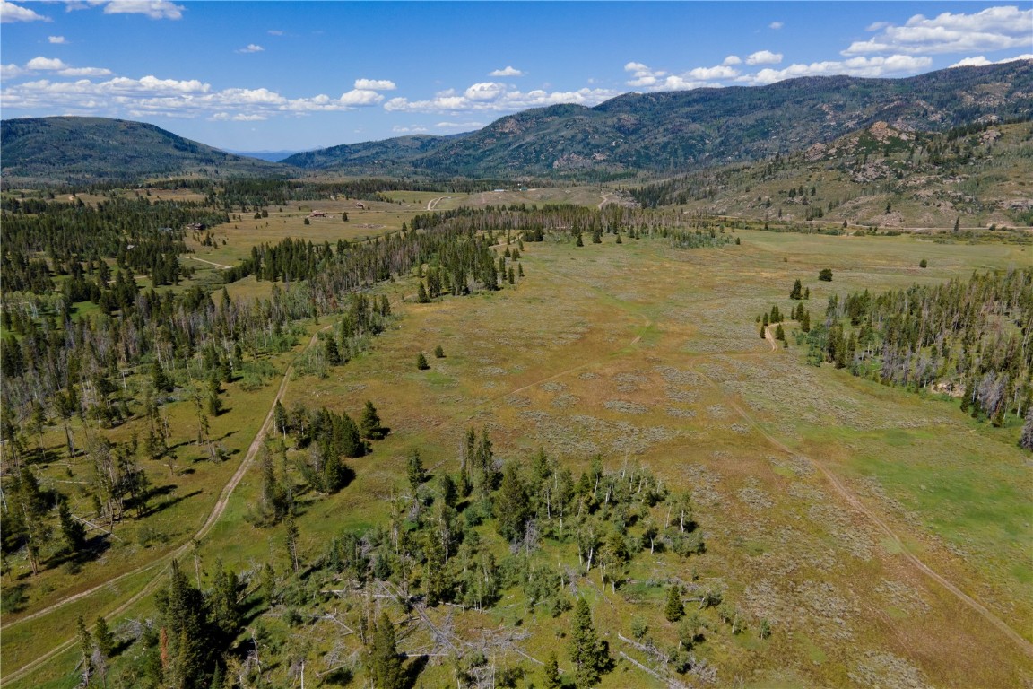 194 Halter TRAIL