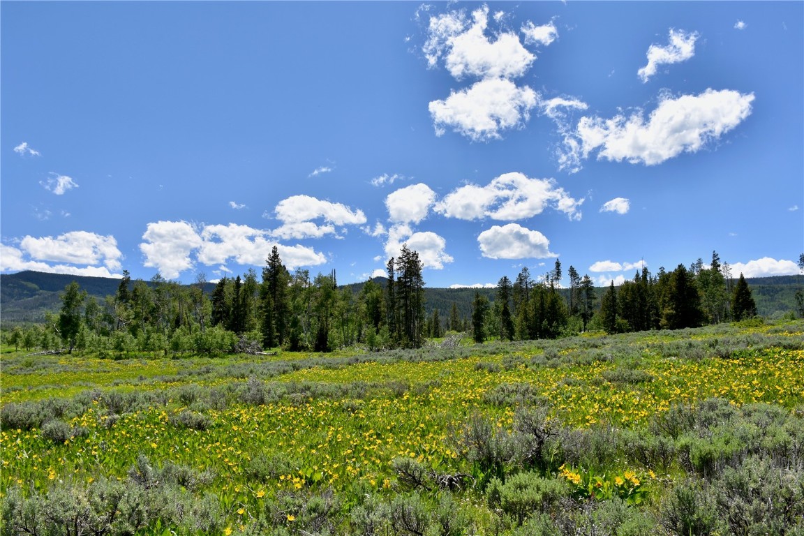 194 Halter TRAIL