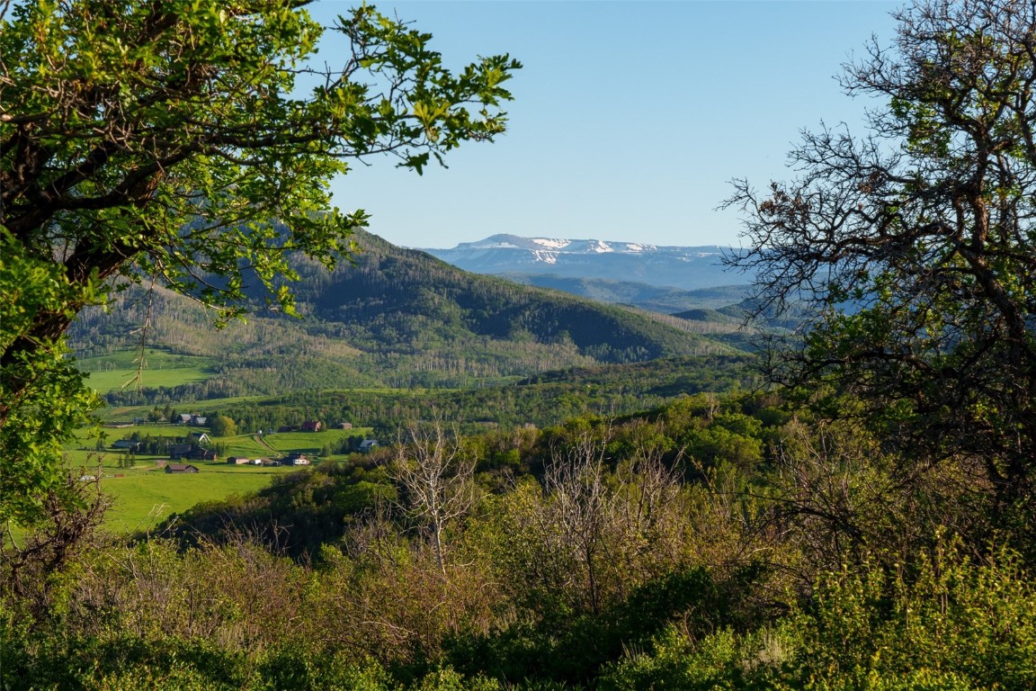 28100 Columbine Ridge