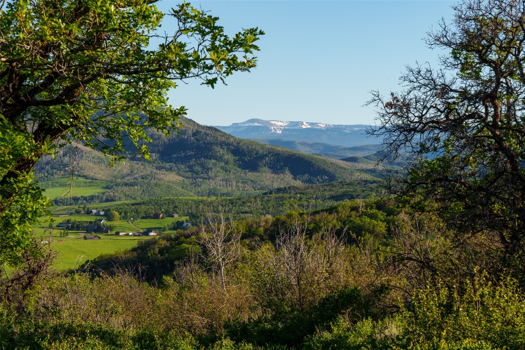 28100 Columbine Ridge