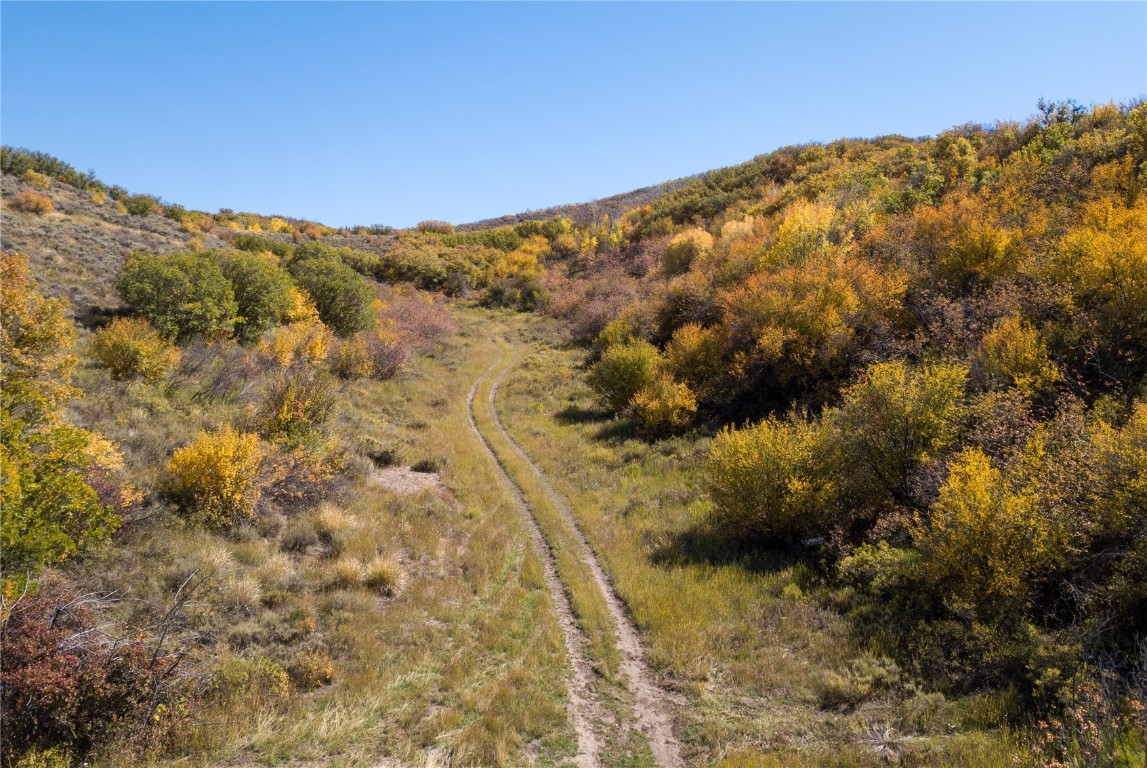 29390 Highway 131