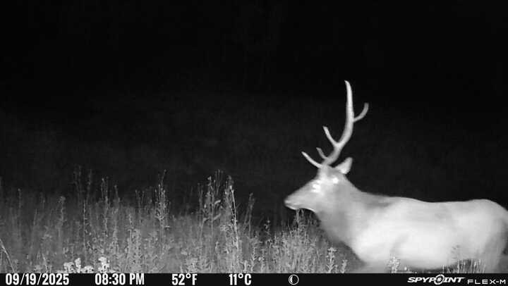 50166 County Road 80