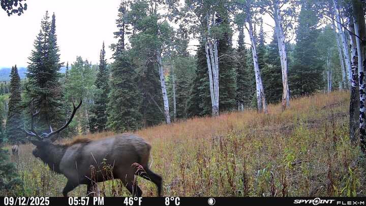 50166 County Road 80