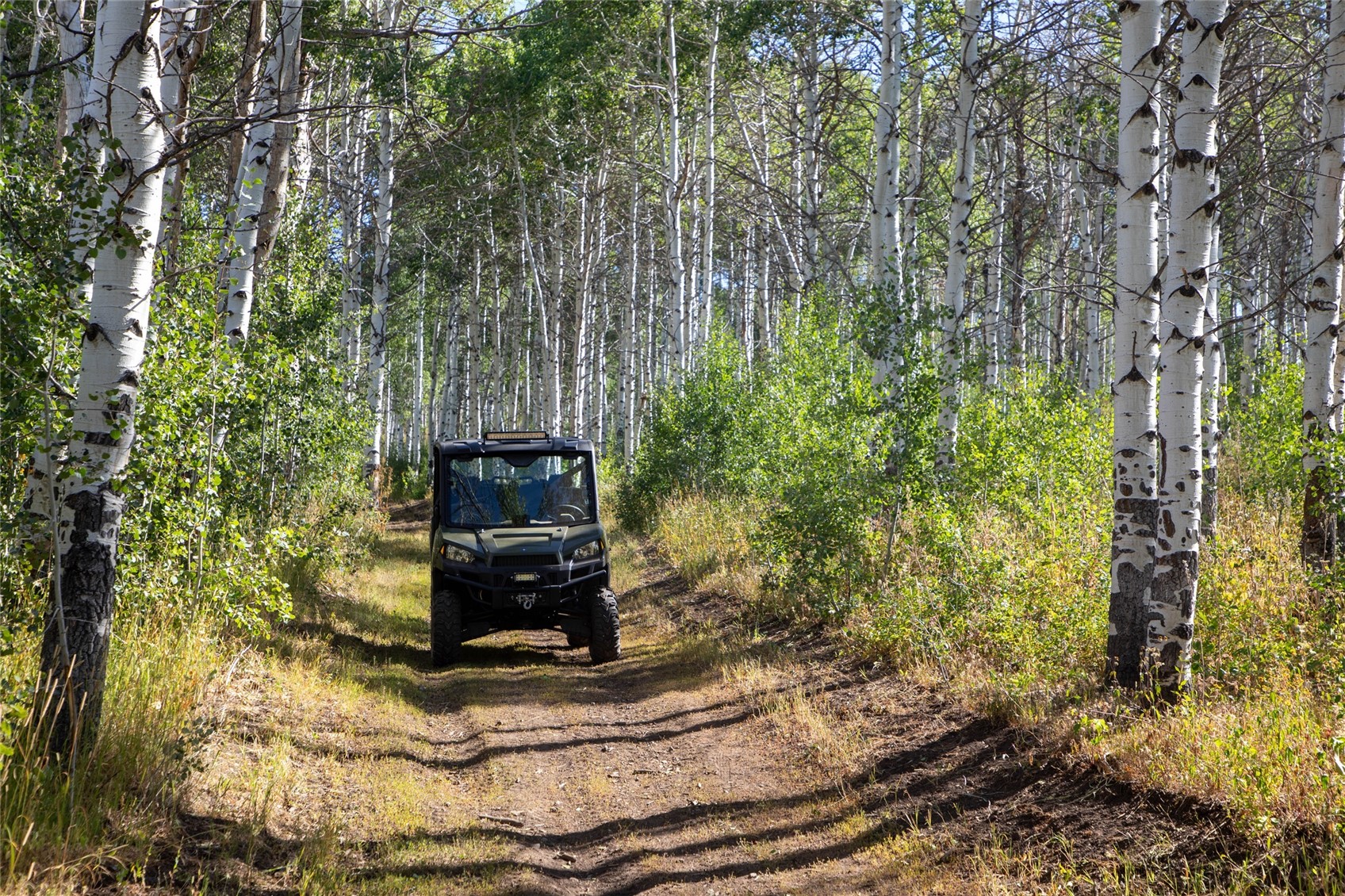 50166 County Road 80