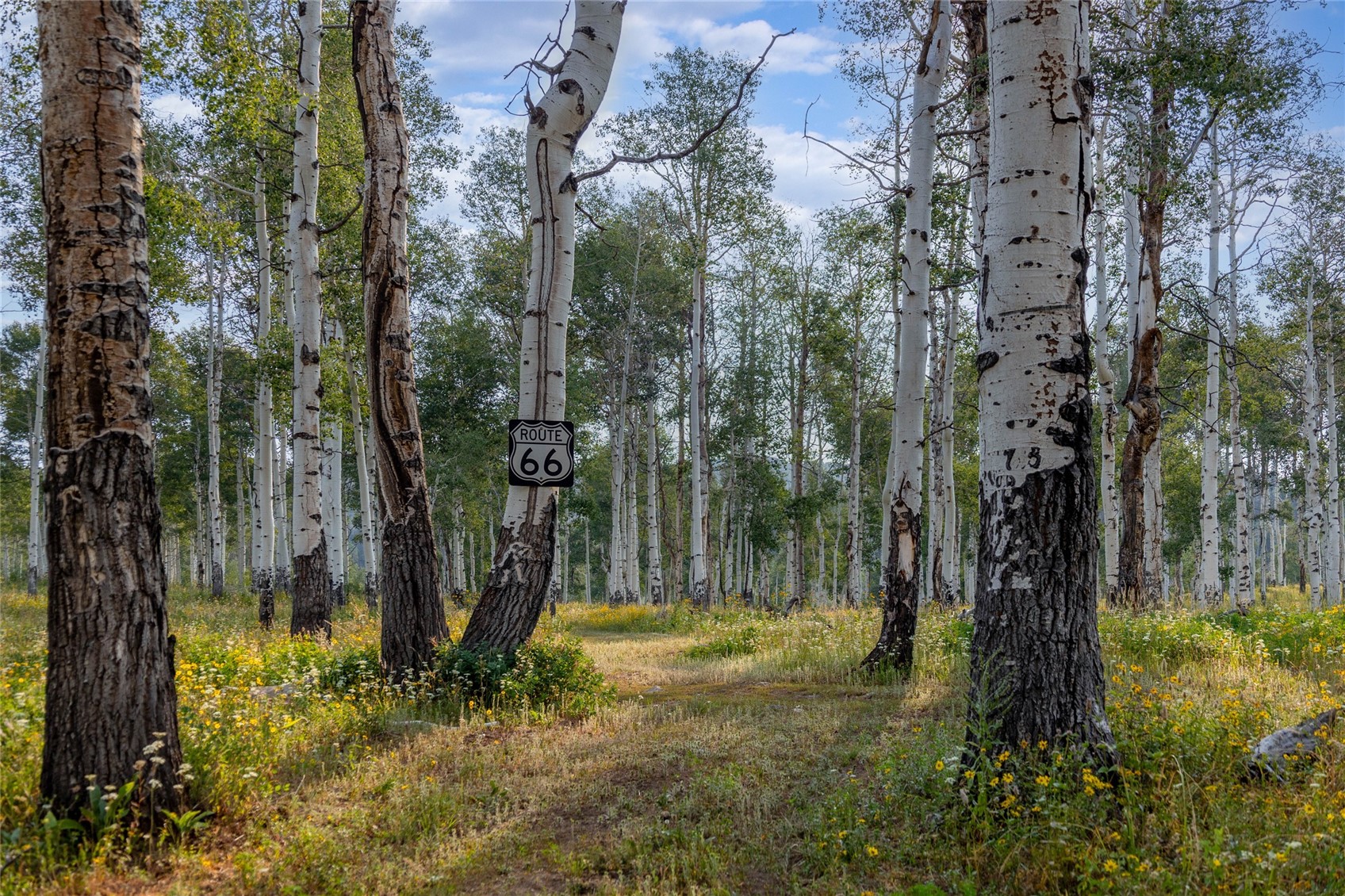 50166 County Road 80