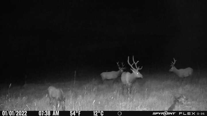 50166 County Road 80