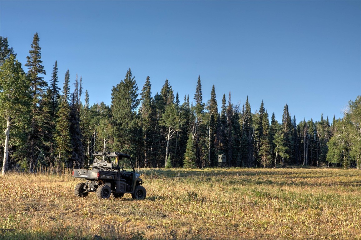 50166 County Road 80