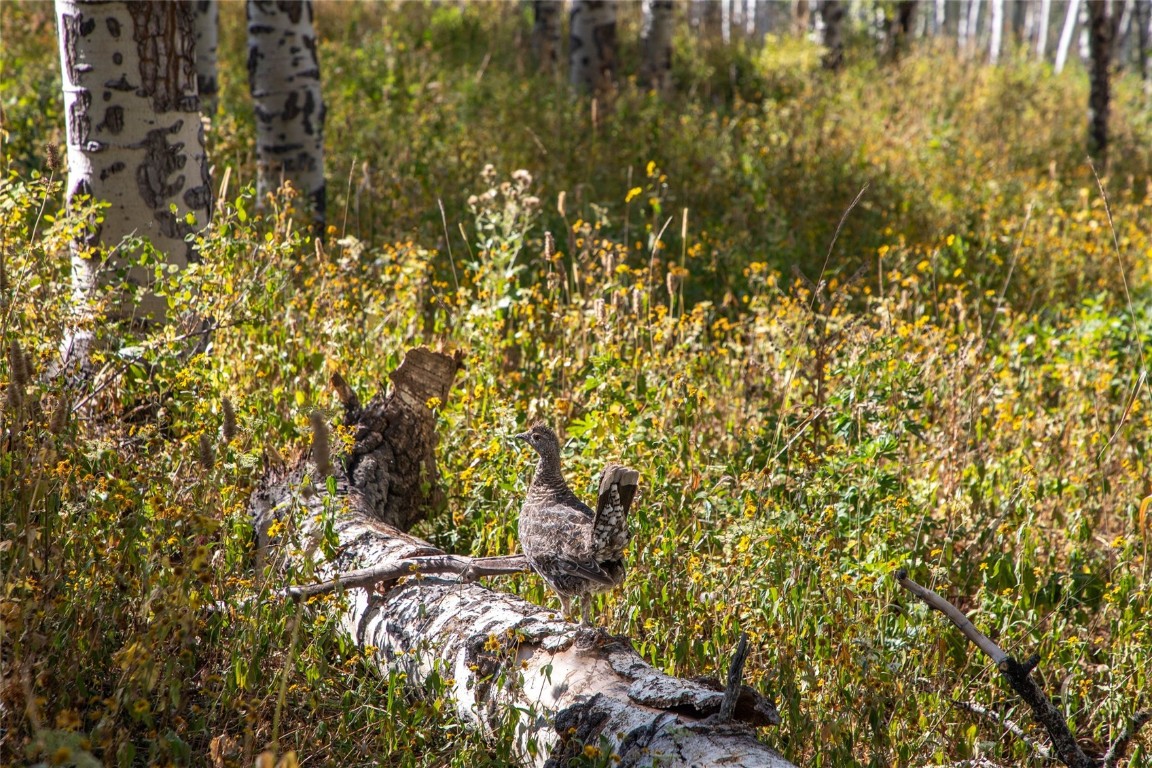 50166 County Road 80