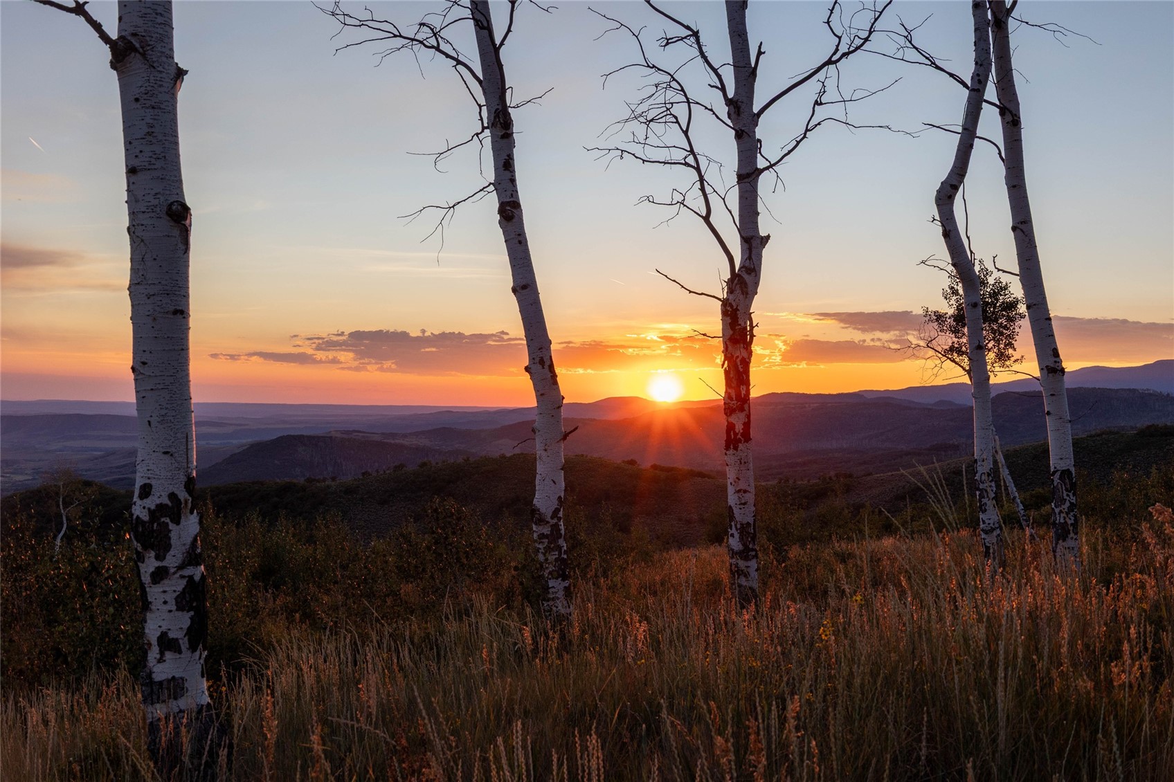 50166 County Road 80