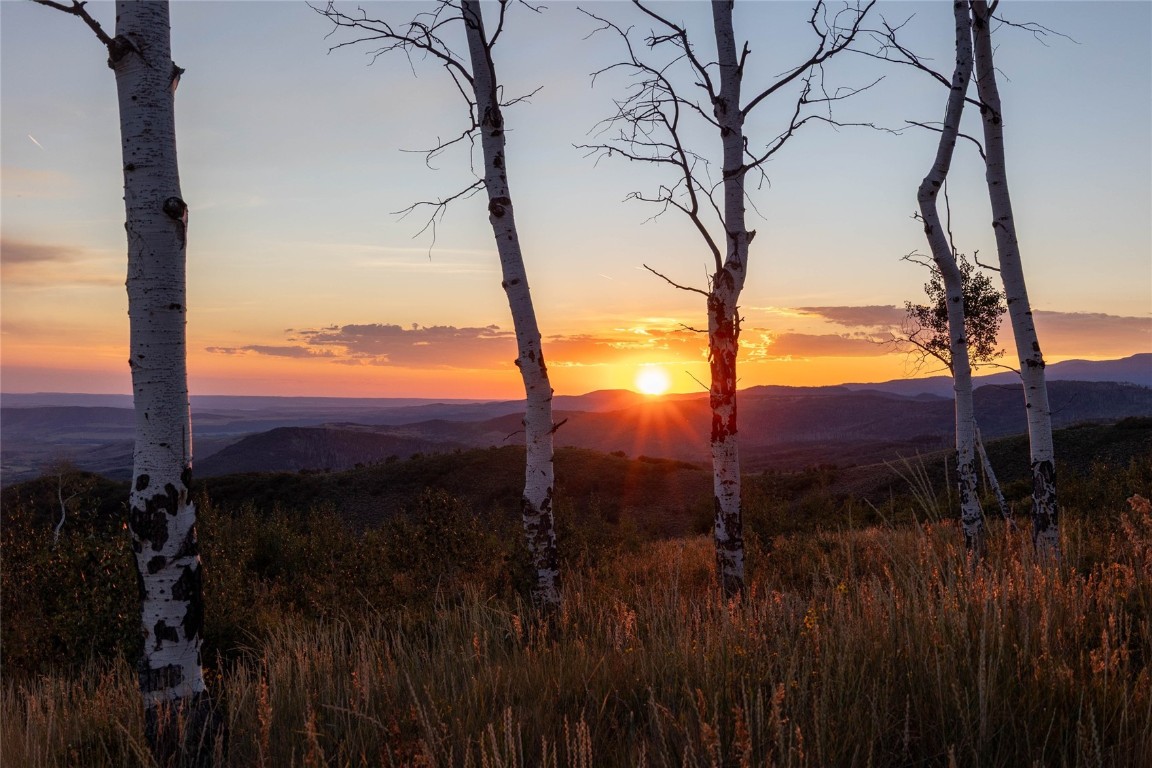 50166 County Road 80